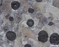  Litina s�kuli�kov�m grafitem