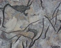 Litina s�lup�nkov�m grafitem