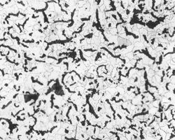 Litina s�vermikul�rn�m grafitem