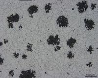 Temperovan� litina